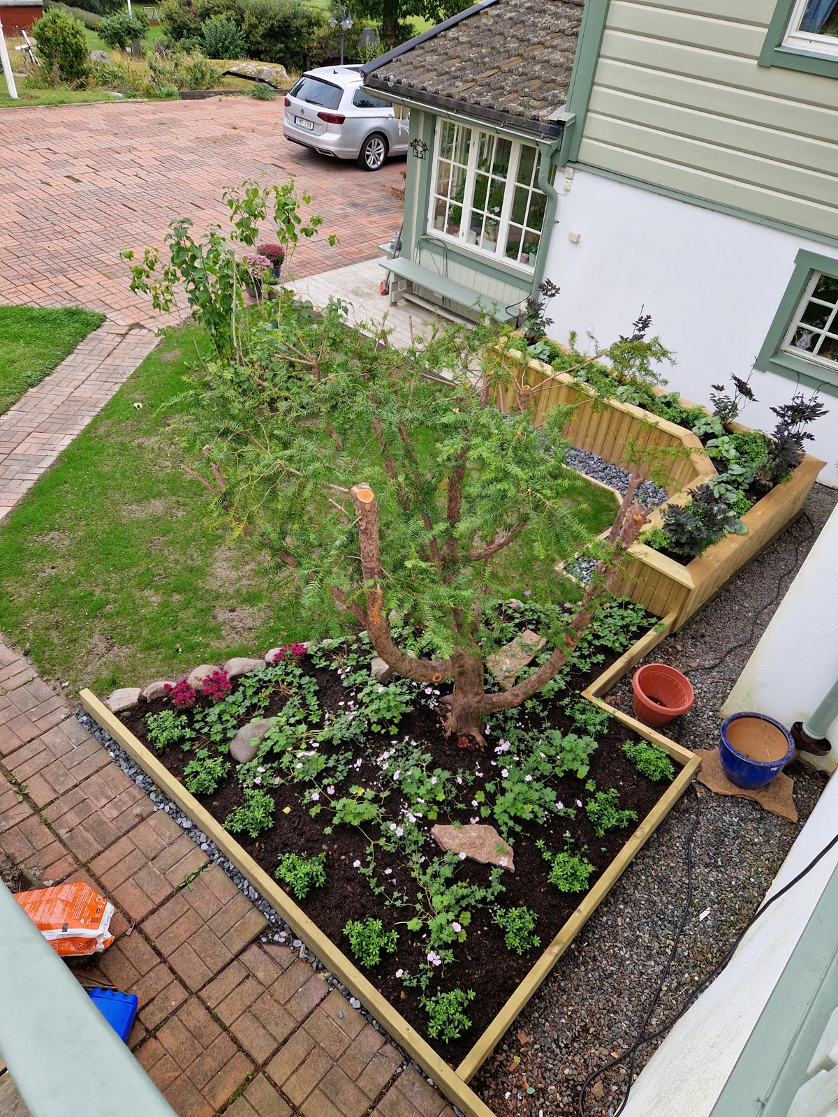Plantering och byggnation
