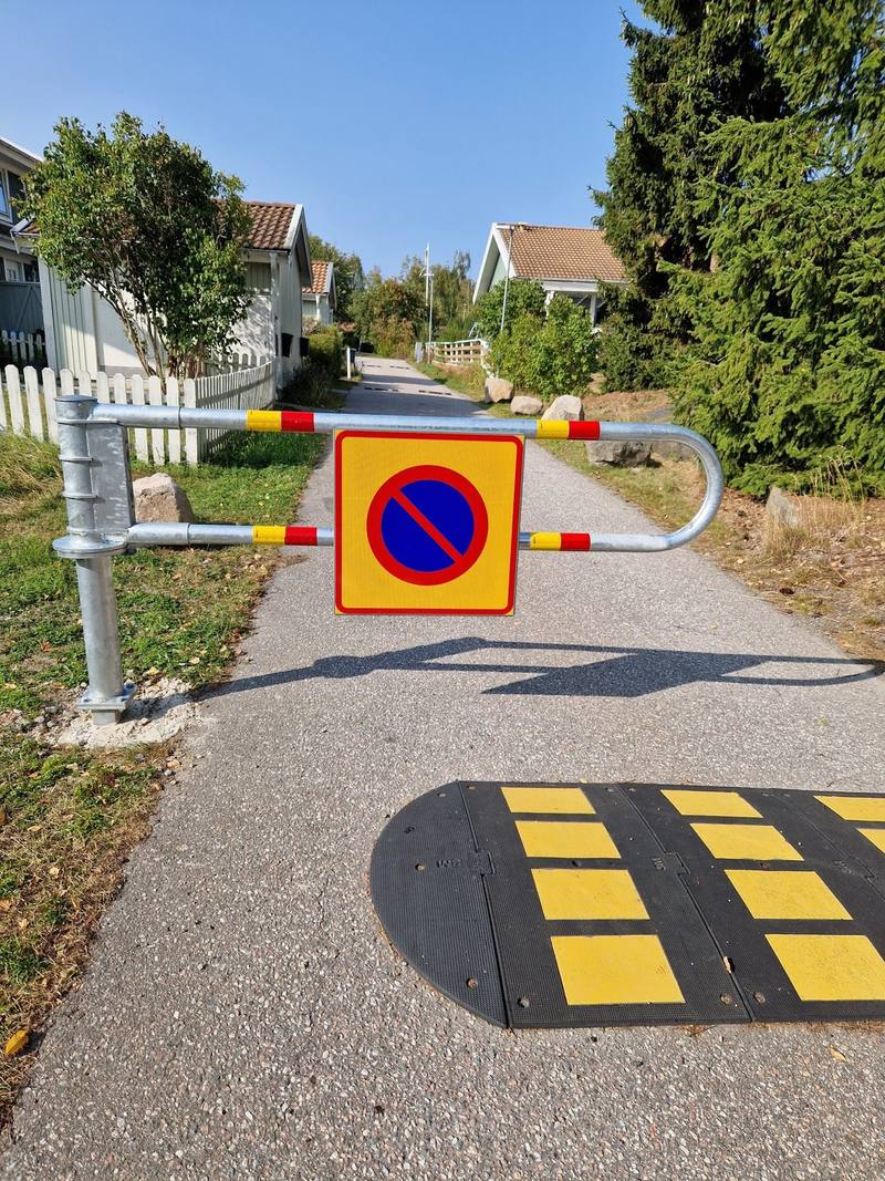 Vägbom och farthinder